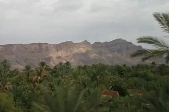 Séjours palmeraie maroc